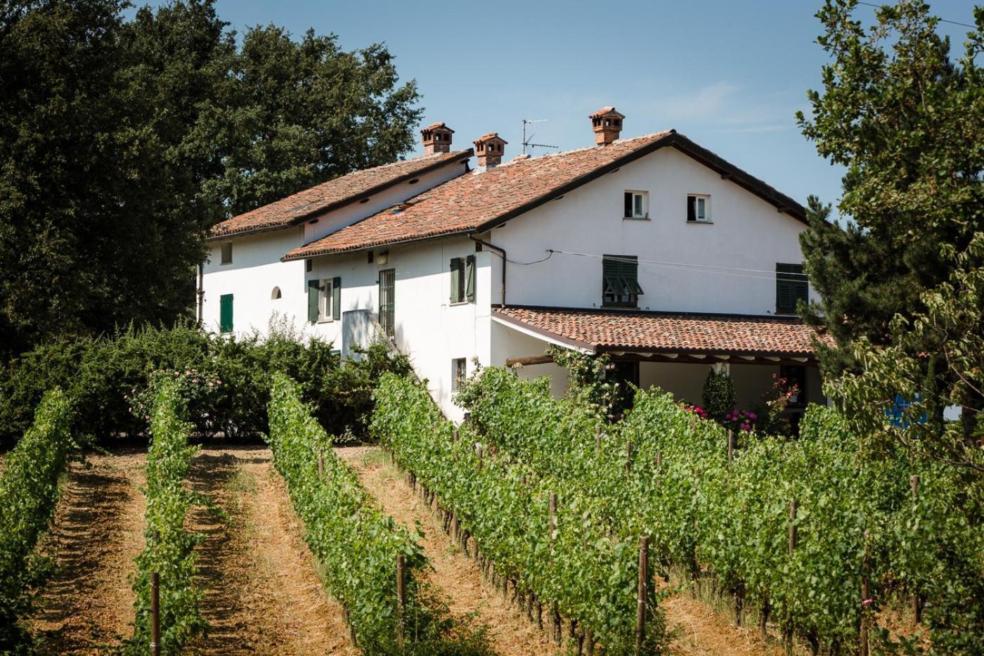 B&B Il Poggio di Gavi Esterno foto