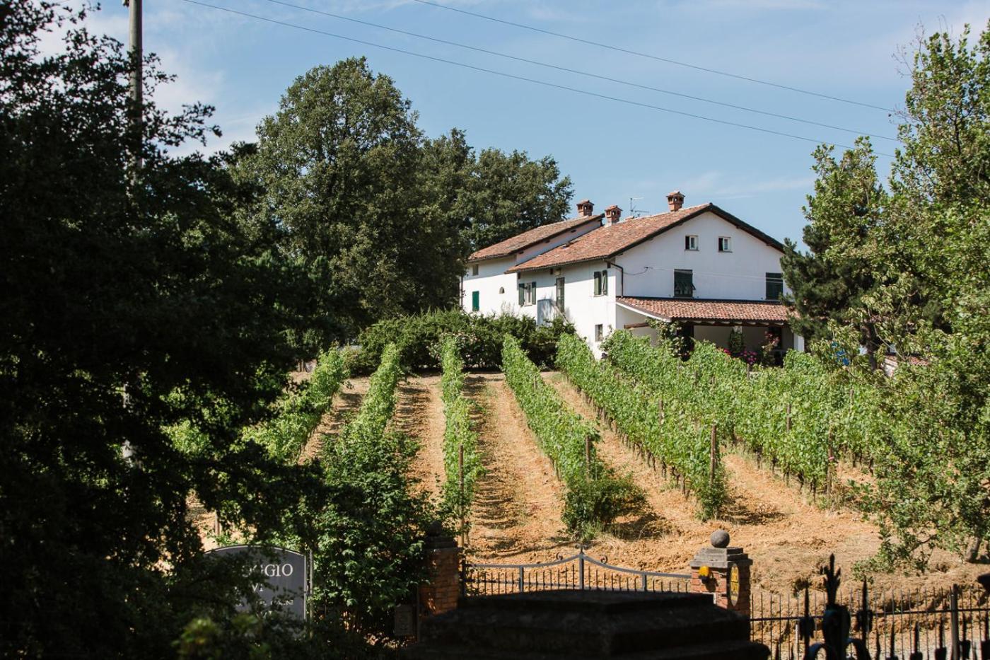 B&B Il Poggio di Gavi Esterno foto